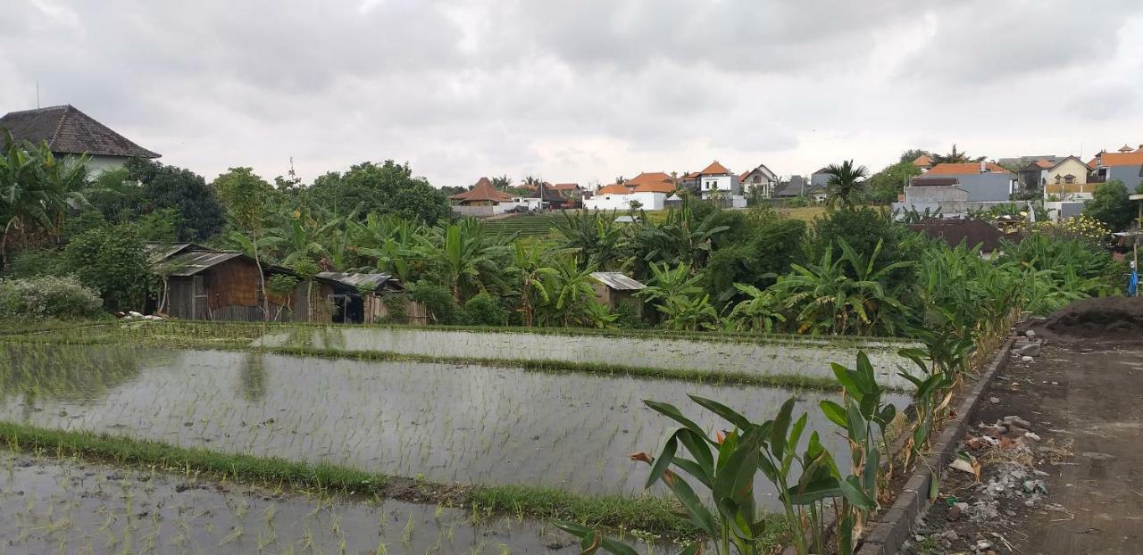 Pd Bali Guesthouse Canggu Kültér fotó
