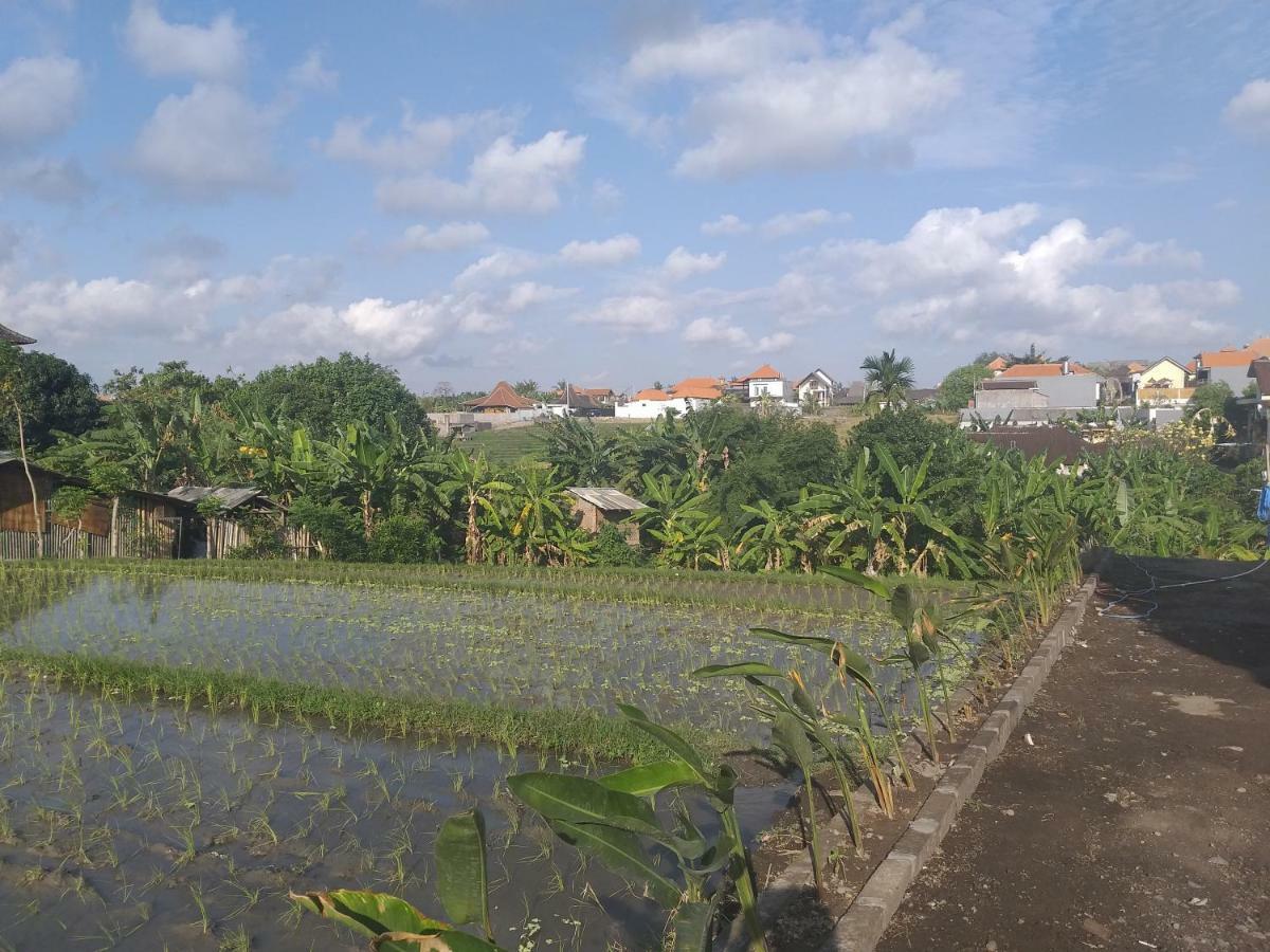 Pd Bali Guesthouse Canggu Kültér fotó