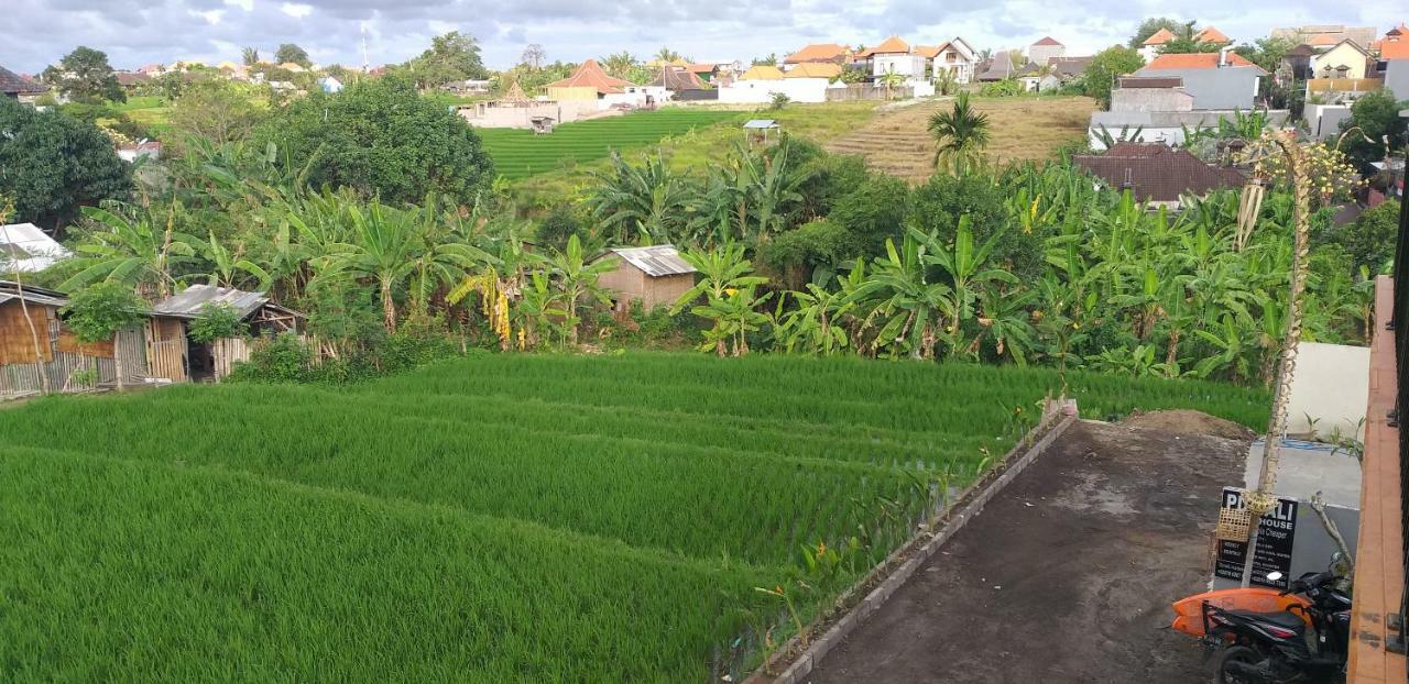 Pd Bali Guesthouse Canggu Kültér fotó